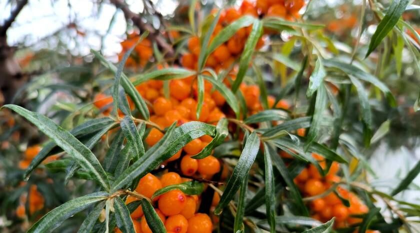 �������� �� �������! ���� ������� ������ ���������� ������� � ������� ����� � ������������ ������ ������� ����� ��������� ���� ���������. �� ������� �� ������ ��� ������������ �������, �� � ������� �������� �� �������� �...