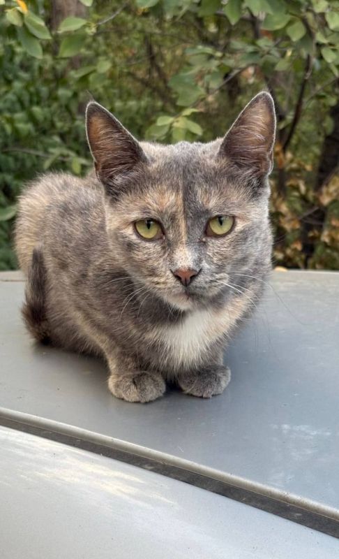 ��������� ������������ 23 �������� � ��� �� ���� 7 �������� ����� �� 31 ������� ���� ����, ��� �������