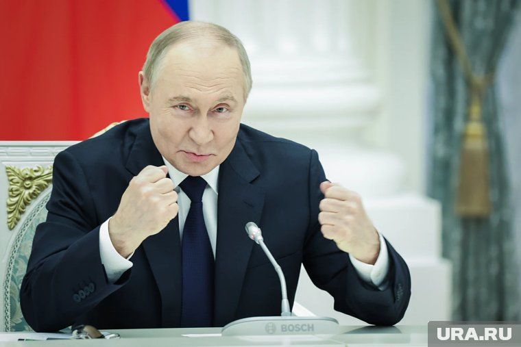 Путин расширяет для участников СВО возможности в мирной жизни