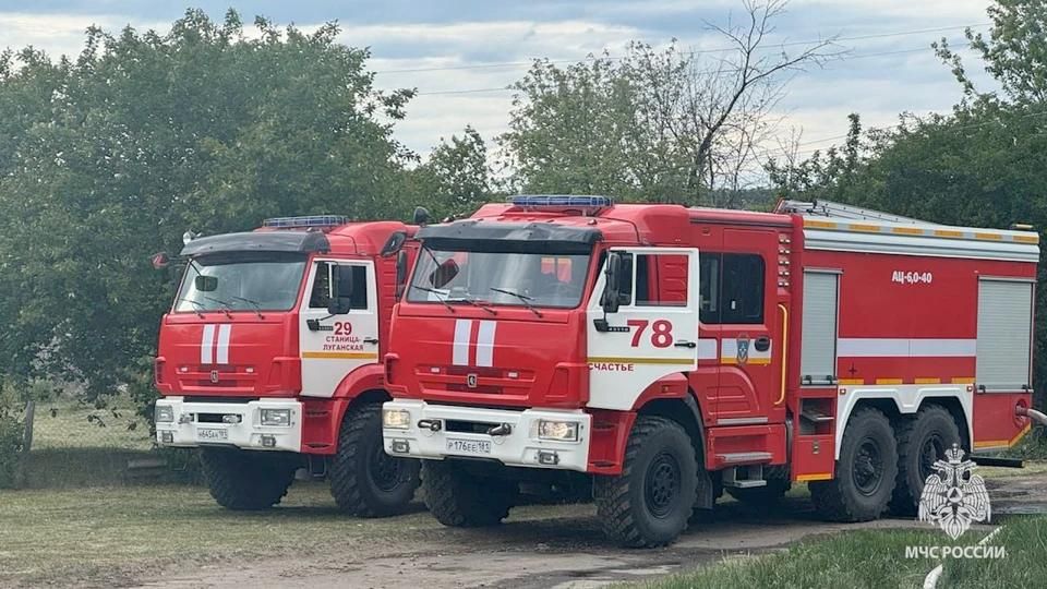 �� ����� � ��� �������� 43 ������