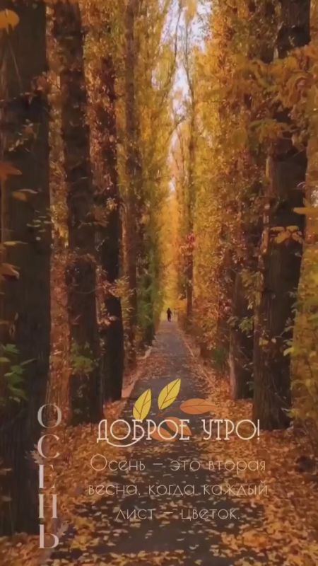 ���� ����, ���� ����������, � ����� ����, ��� ������� ������ �������