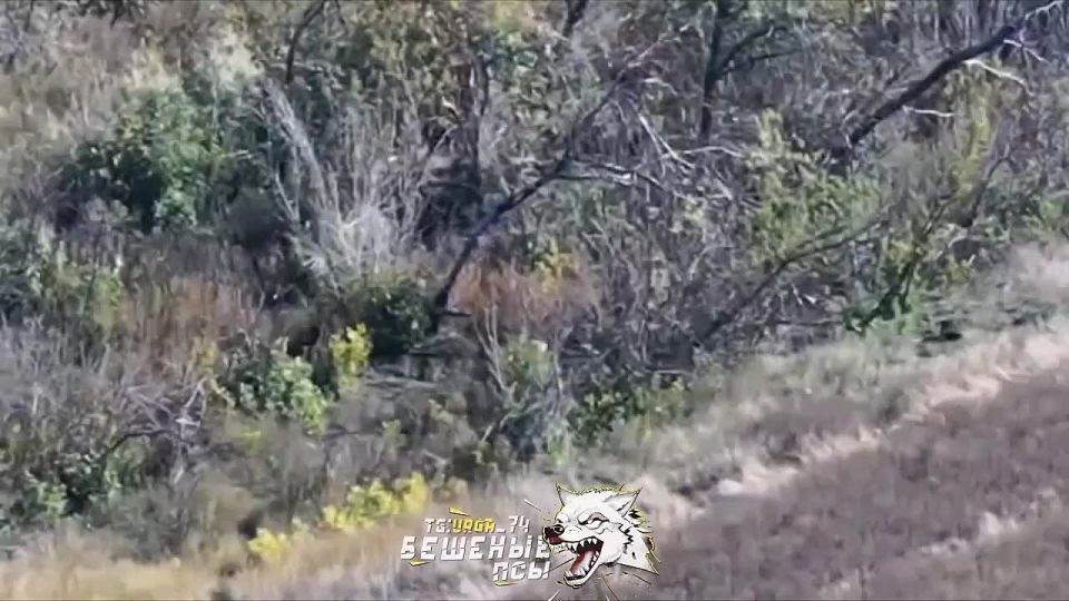 ����� �� �������!. ������� ���� ������ �������� �������� �� ����