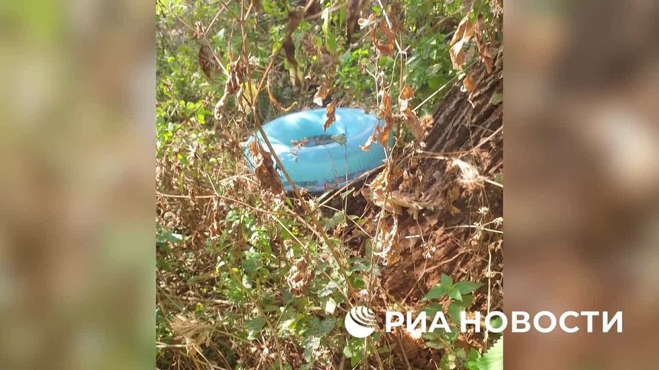 �� �������.... ������� ��� �������� ��������� ���� �� ������� �������� ������ �� ����� ����������� �� ������������� ����������� � ���, ������� ���� ���������� ����������� ����� ������ � �������� ����