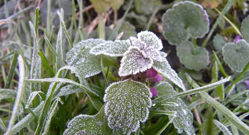 � ��� ��������� ������ ��������� �� -5��