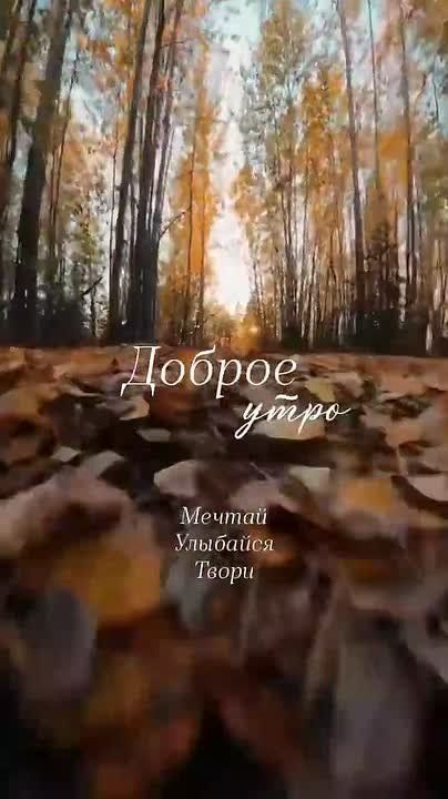 � ����� ���� �������� ����� ���� � ����� �����