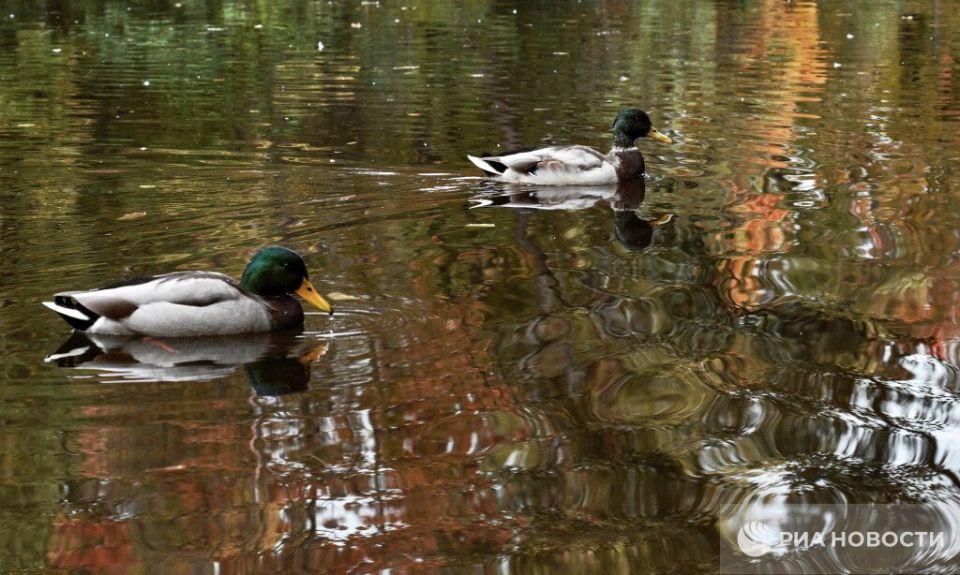 ������ �� ����� ����������� ������