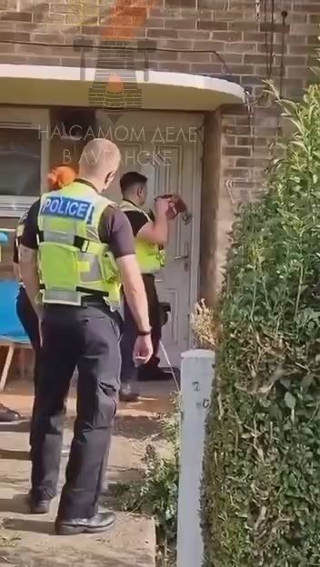 ������� ������ �������� ��������� �����