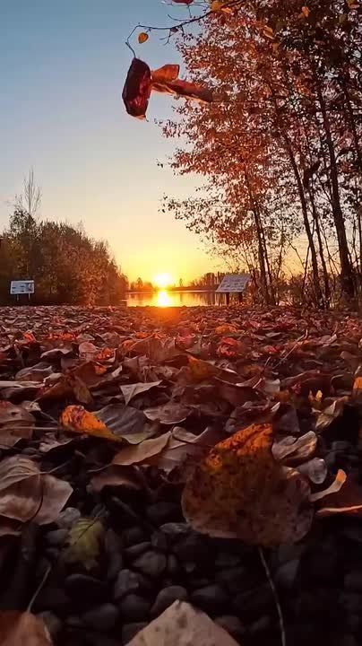 ������ ���� �� ����� ���� �������, �� ���� ���-�� ������� � ������ ���