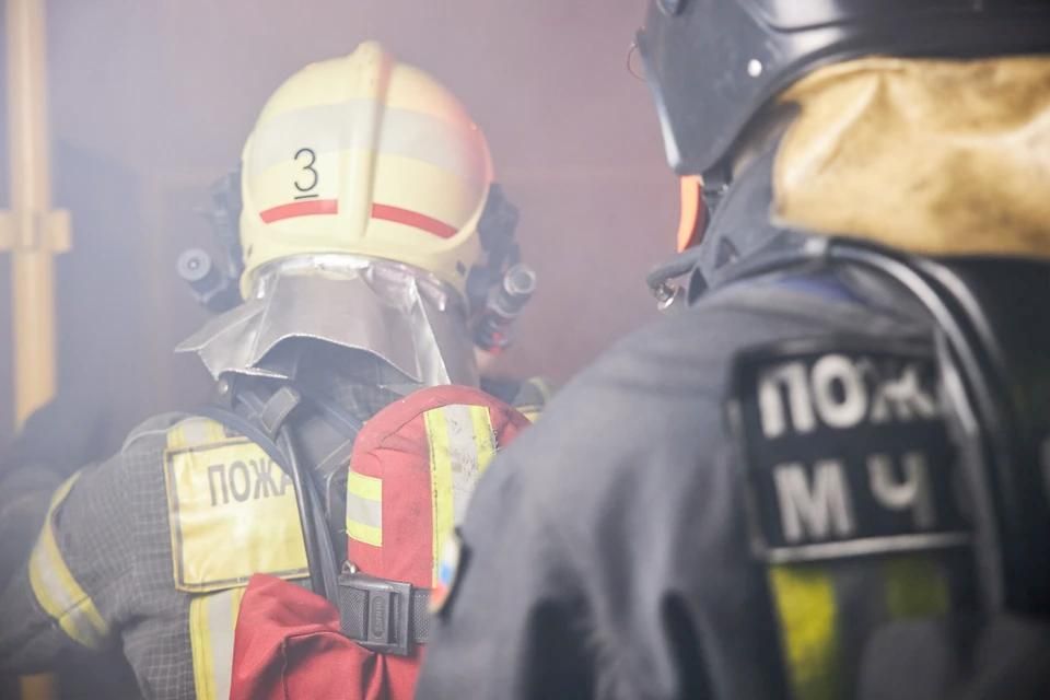 � ��� �� ����� ������������� 39 �������