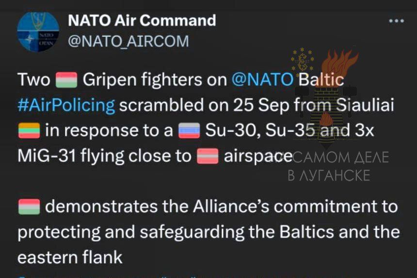 ������ �� �������. ����-31, ��� ������� �������� �� ����� ���������� ����� ���� �������, ������� ������ �������