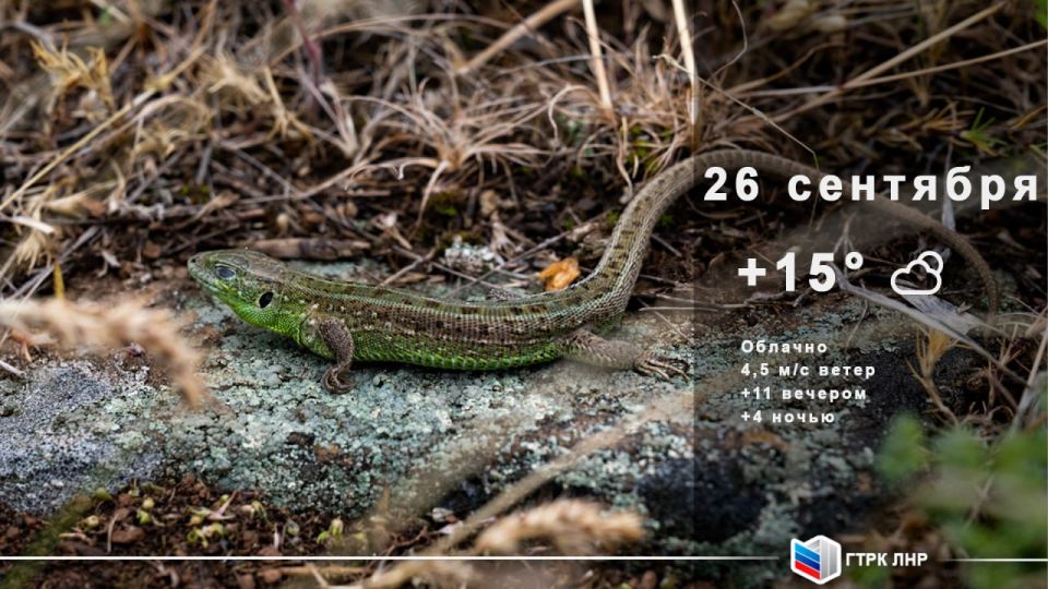 ������ ����, ��������� �������� ����������!