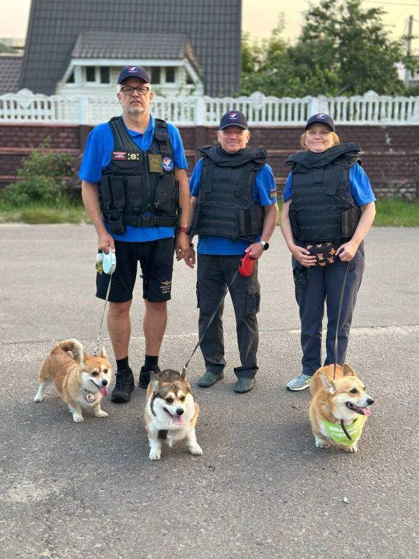 Инна Швенк: Луганскую Народную Республику посетили дорогие гости - корги отряд «Маруся и друзья»