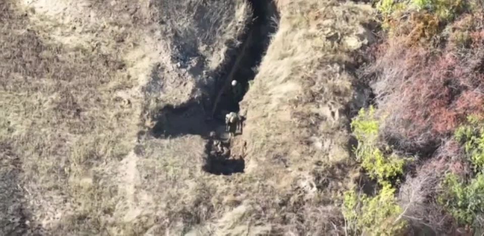 #�����_�_���������. ���� ������ �����: ���������� ���������� ��������� ���� �����, ������ � �����������