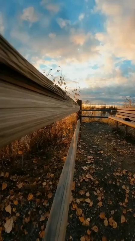 �� �������� ����� �����������