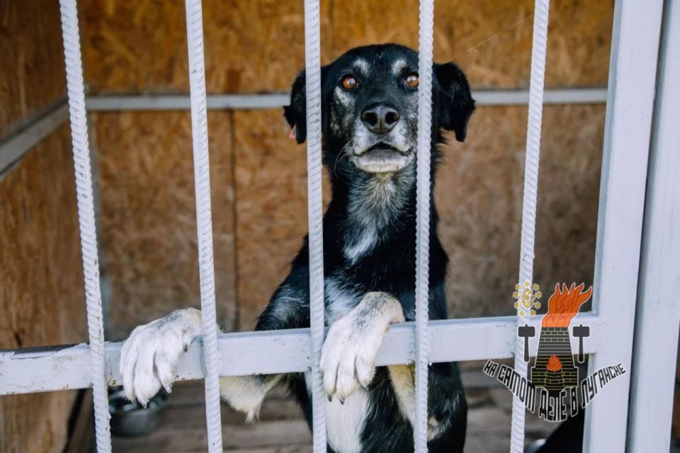 �������� � ��������� ��������� � ��� ����� ������ � ��������� ����