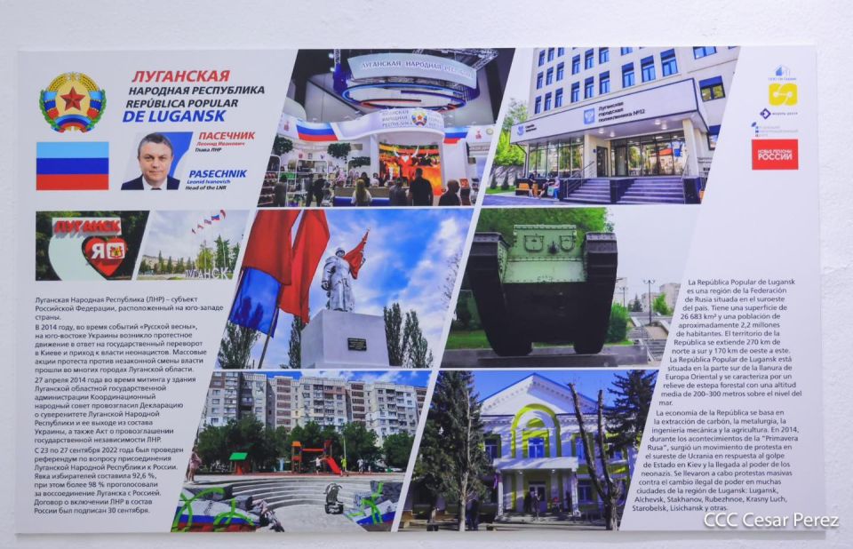 24                 2022-2025    