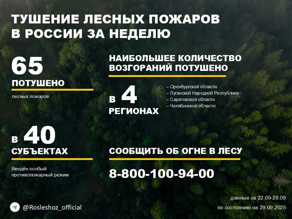 �� ������ ��������������, ���������������� ����������� ����������, �� ��������� ������ �������� 65 ������ ������� � 24 �������� ������