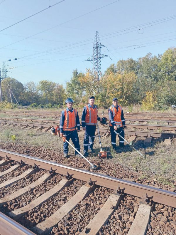 � ������ ����������� �������� ���������� ��������� �������� �������������� �������� ���� ���������������� ��������