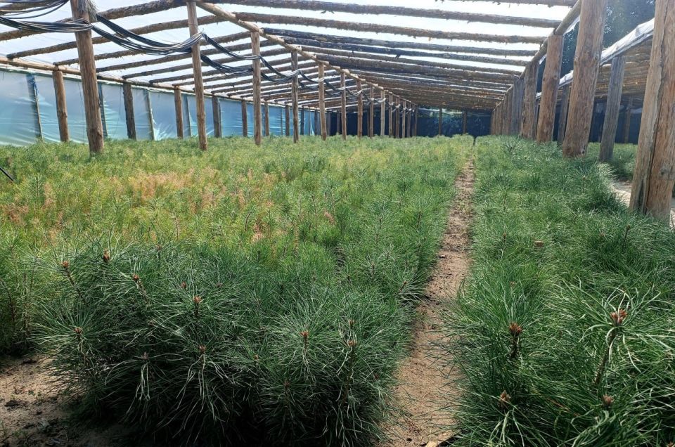 � ��� ������������� ��������� ��������� � ������� ���������� �������� 2025 ����