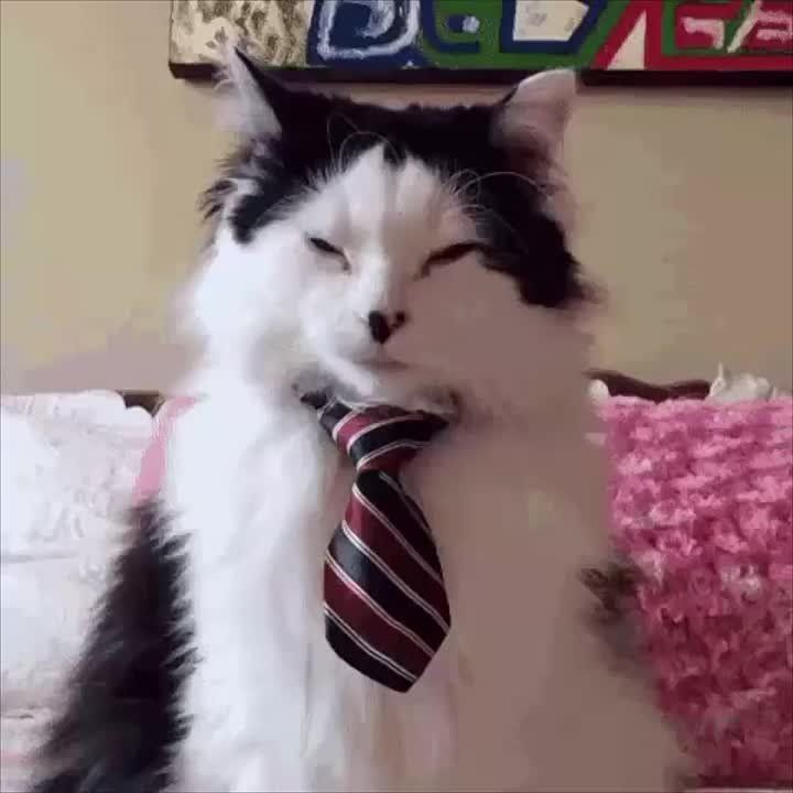 ����������, ����������, ����������