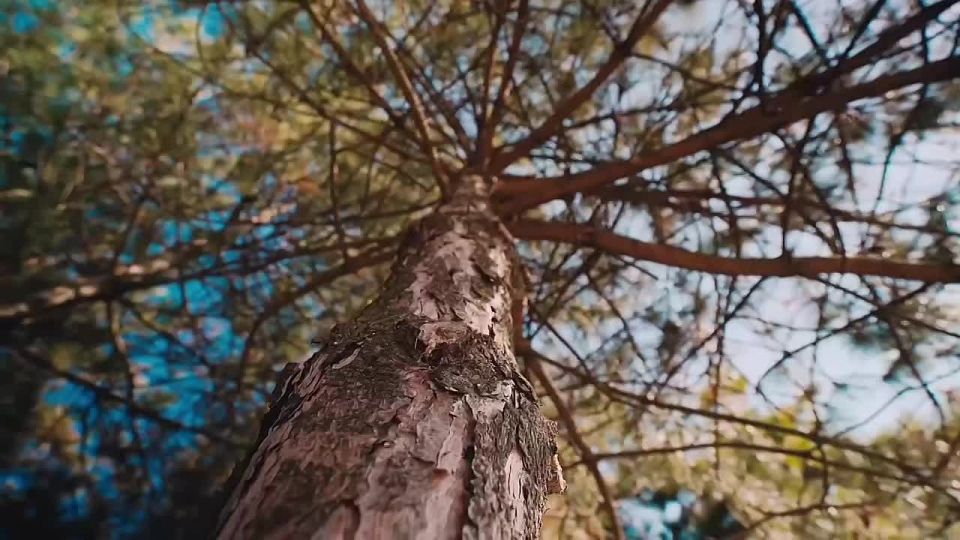 ���� ������� �������. ������ � ����������� �������������� ������������� ������� ����� ��� �������� ���� ������������� �������� �������� ����������, ��������� �������� ����������, ����������� � ���������� �������� � �������