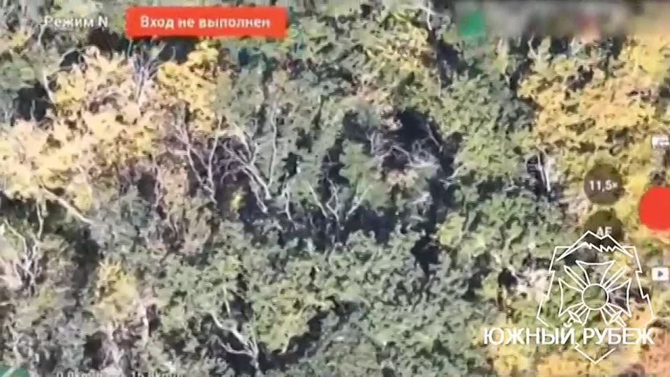 ������������� ���� ����� ����������� ����� � ���� �������� ���������� ������� ����������, ��������������� � �����������