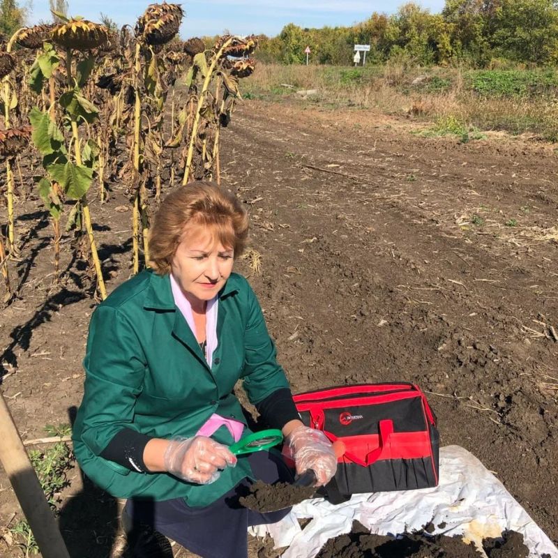 ����� �� ���������: �������� ���������������� ��������� � ������� ���������� �� ����� ���