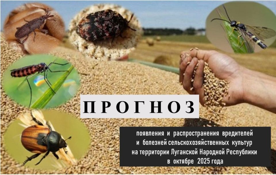 ��������� � ��������������� ���������� � �������� �������������������� ������� �� ���������� ��������� �������� ���������� � ������� 2025 ����