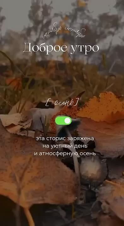 ������ ���� � ��� ����� ������ ����� �����