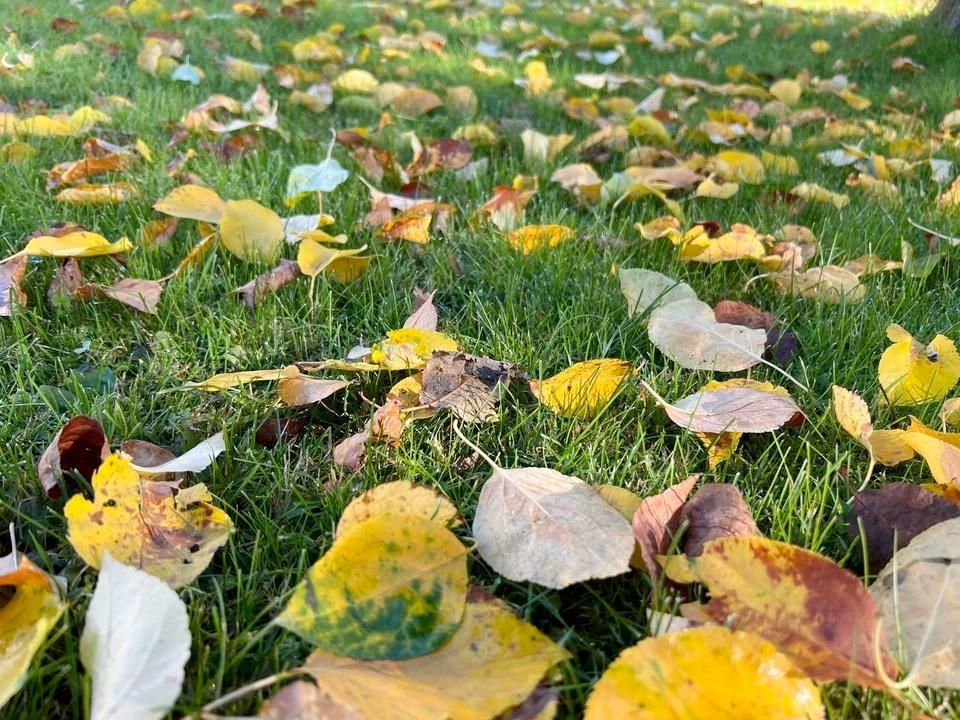 ��������� ������������ � ��� �������� ������ ��� �������