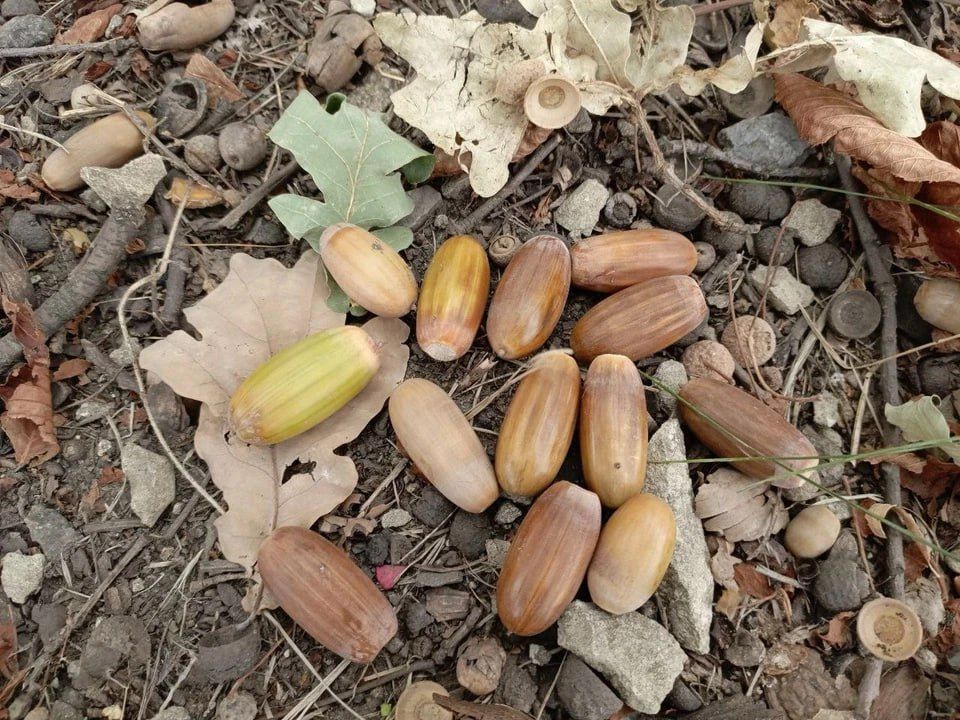 ���������� ��� �������� � ������ ����� �� ����� ����� ��� �������������� �����