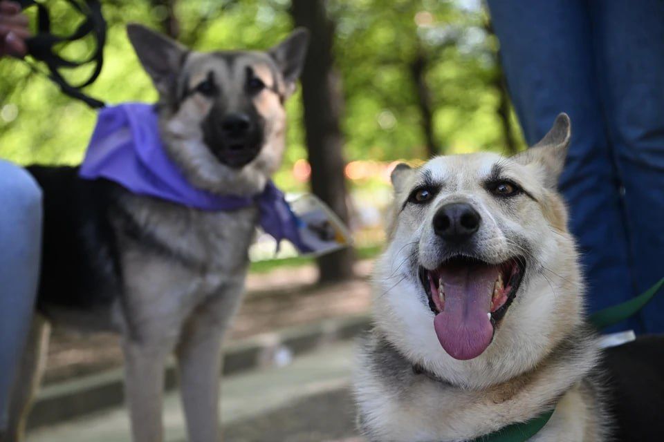 � ��� ��������� ������� ������ ������� ��� �������� � ����� �� ����������