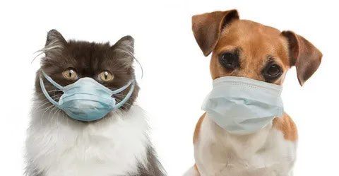 � ���������������� ��������������������� ������������ � ��������� ����� ������� �������� ��������, � ��� ����� ����� ��� �������� � ��������