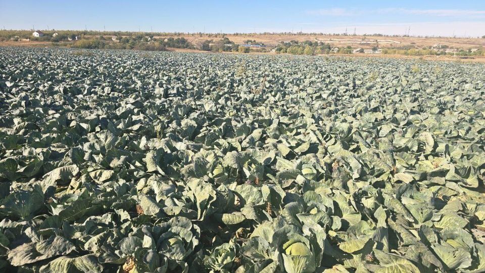 ���������� ��� ��������� �� ���� ������