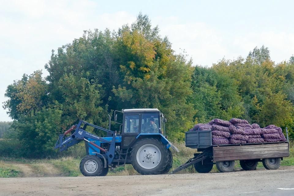 � ��� ������� ����� 1,6 ������ ���� ������