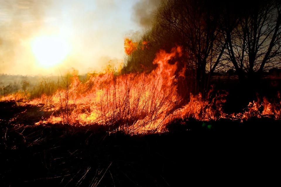 � ��� �� ����� �������� 44 ������