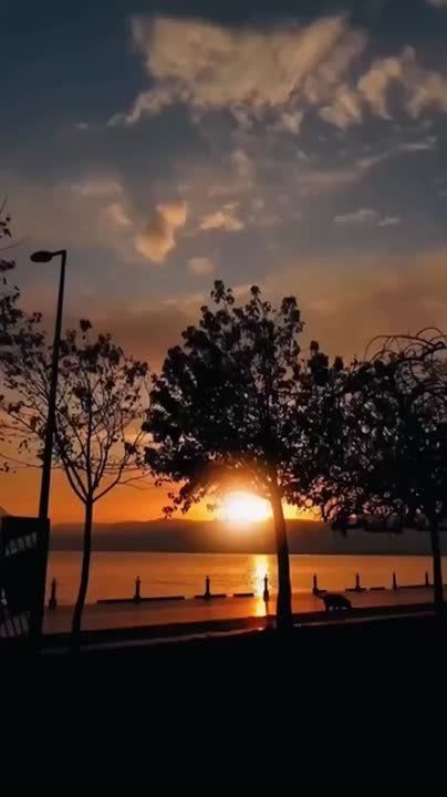 ����. �� ������ ���������� ����