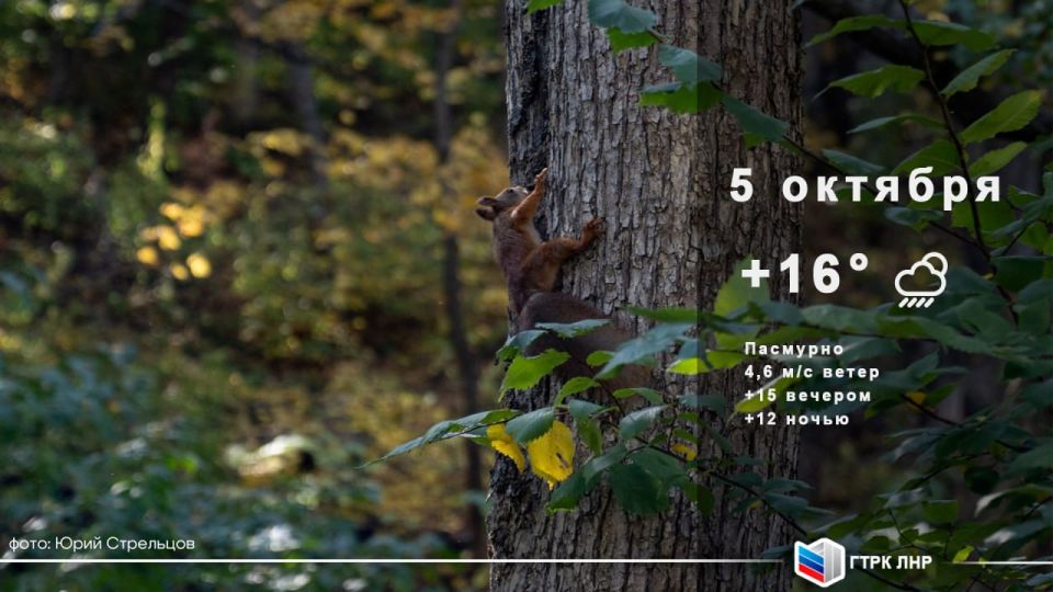 ������ ����, ��������� �������� ����������!