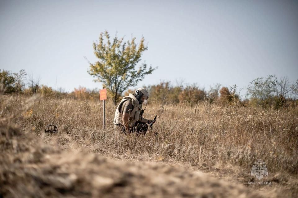 �� ����� � ��� �������� 11 �������