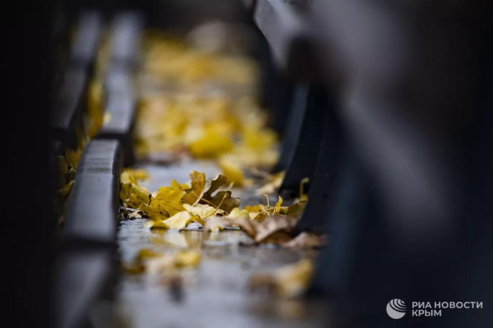 ������ �� ����� ����������� ������