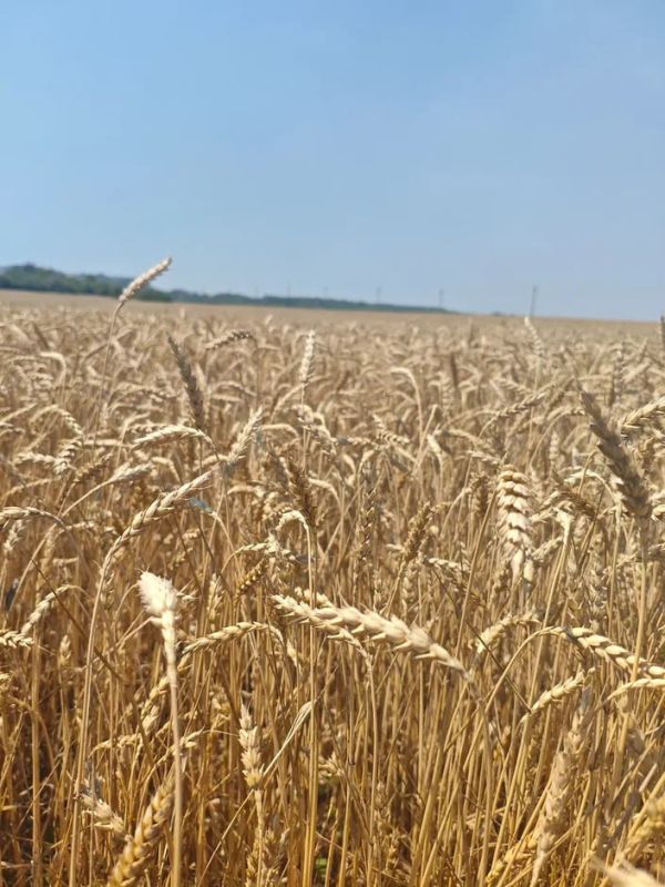 �������� �������� ����������������� ��������� ��������� �������� ���������� �� ��������� ������