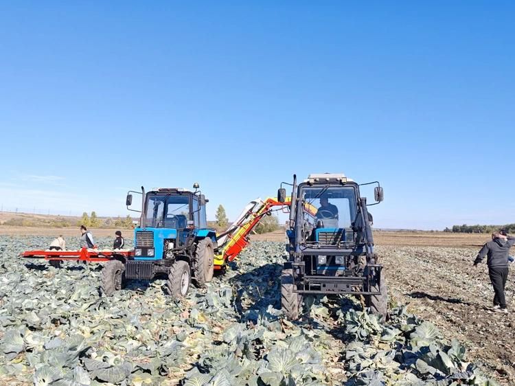 В ЛНР господдержка помогает фермерам приобрести новую технику для сбора урожая