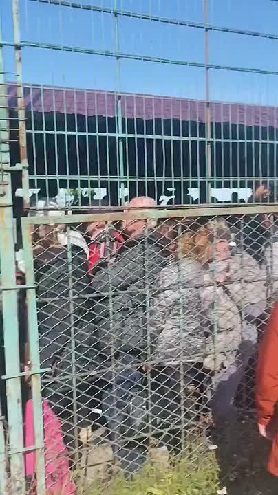 �������� - �����. �� �������������� ������������� ������ ���� ��������� �� 7 �� 11 ����� �������, ��������� �� ���������� ���