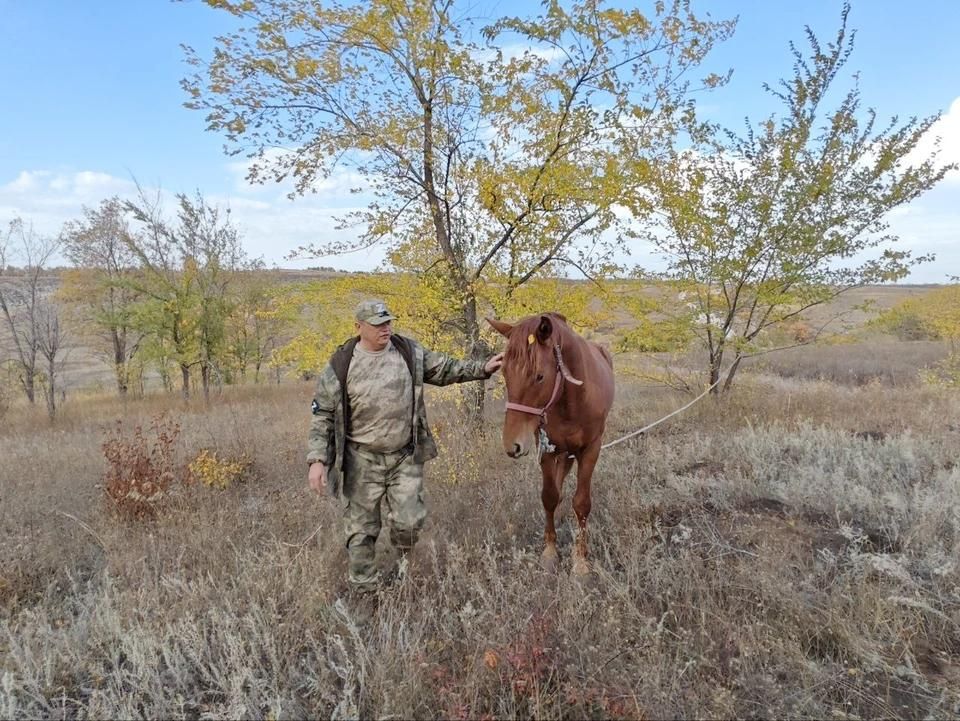 ����� ��������� �������� ���������� � ��������� � �������� �������