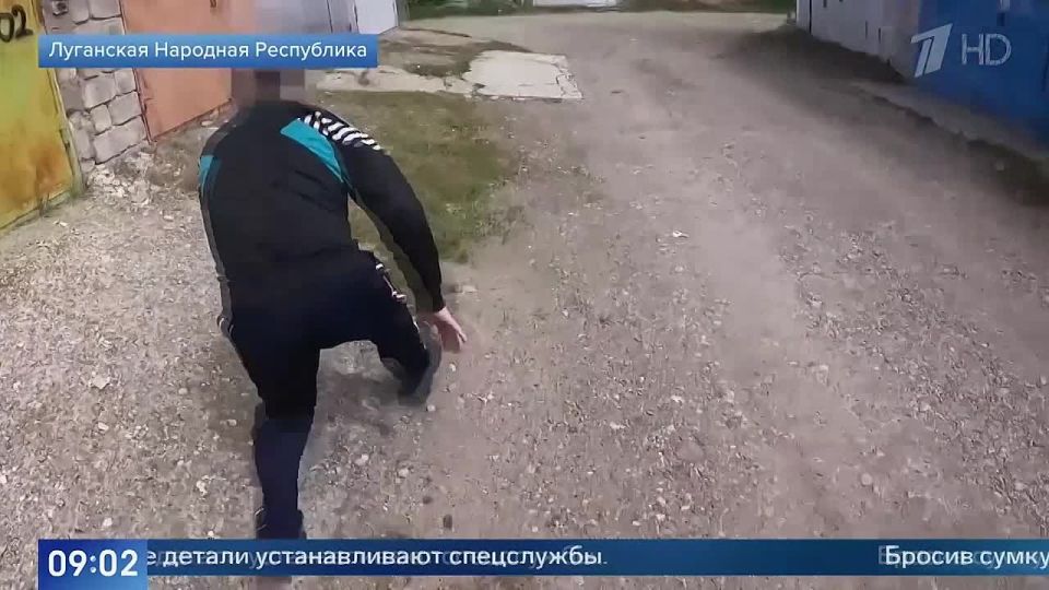  :               ,    ,      ...