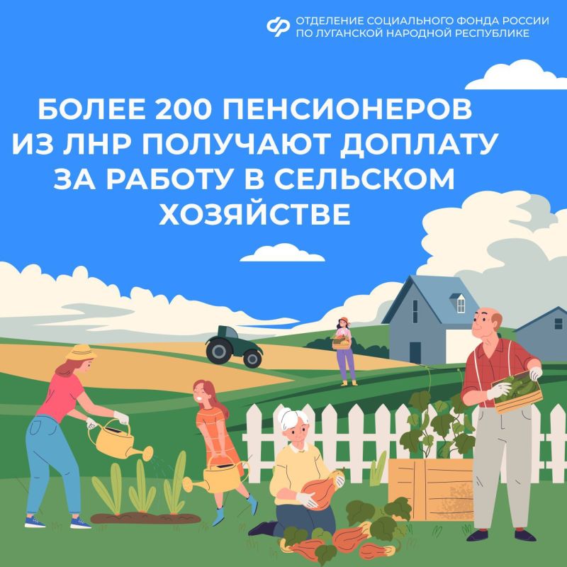 Более 230 пенсионеров из Луганской Народной Республики получают доплату за работу в сельском хозяйстве