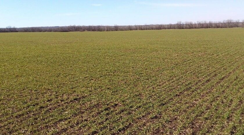 ��������������� ���������, ��� �������� ����������� ������ � ���