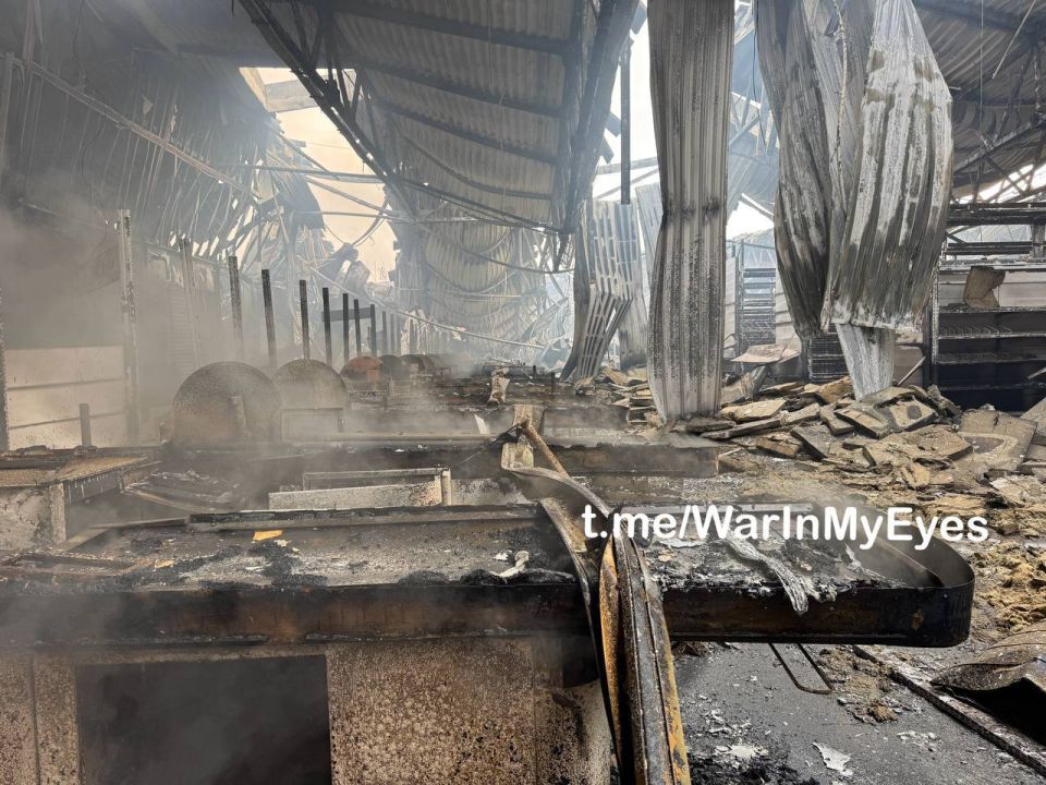 ����������� ������-���� � ������� ����� ������� ����� ��������� ������