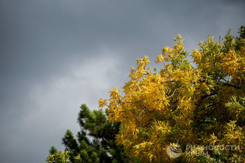 ������ �� ����� ����������� ������