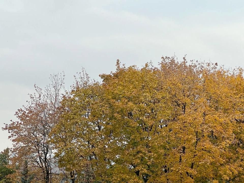 ������ ����� � ����� ��������� ������� � ���